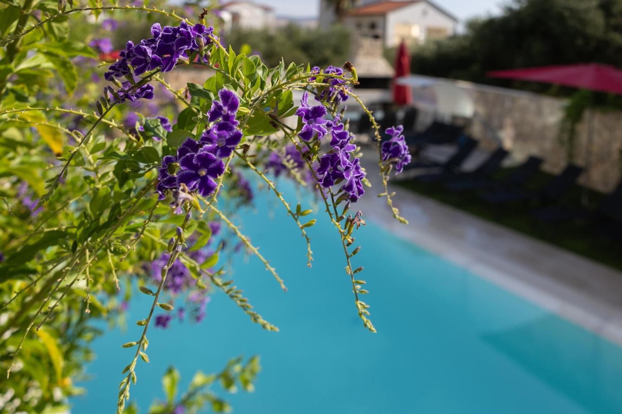 Villa Aqua 자보리치 외부 사진