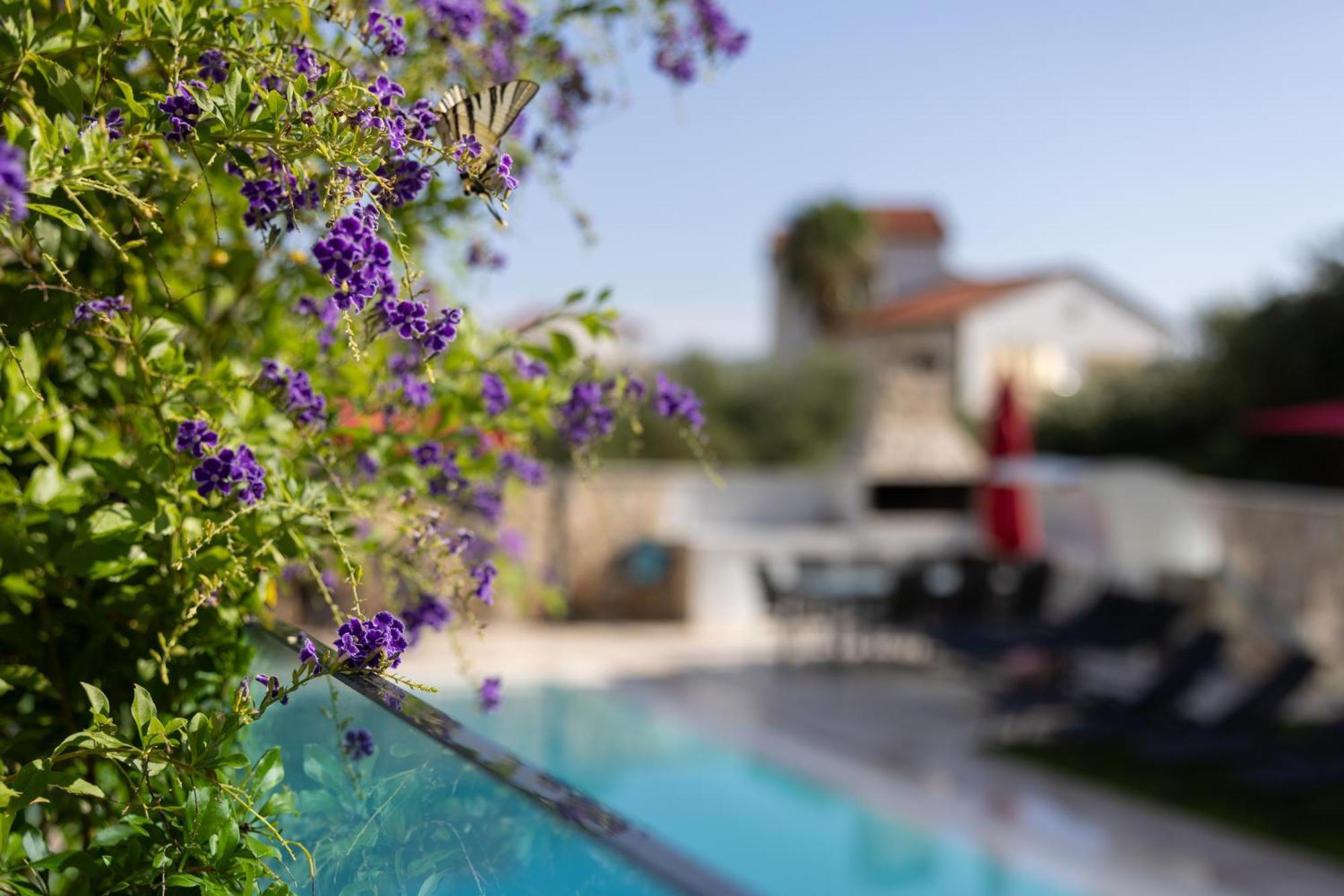 Villa Aqua 자보리치 외부 사진